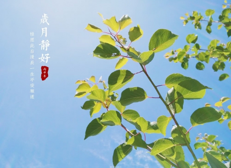 愿歲月靜好，山河無恙